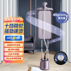 双杆挂烫机70CM抑菌熨烫板家用大功率大水箱电熨斗20P6